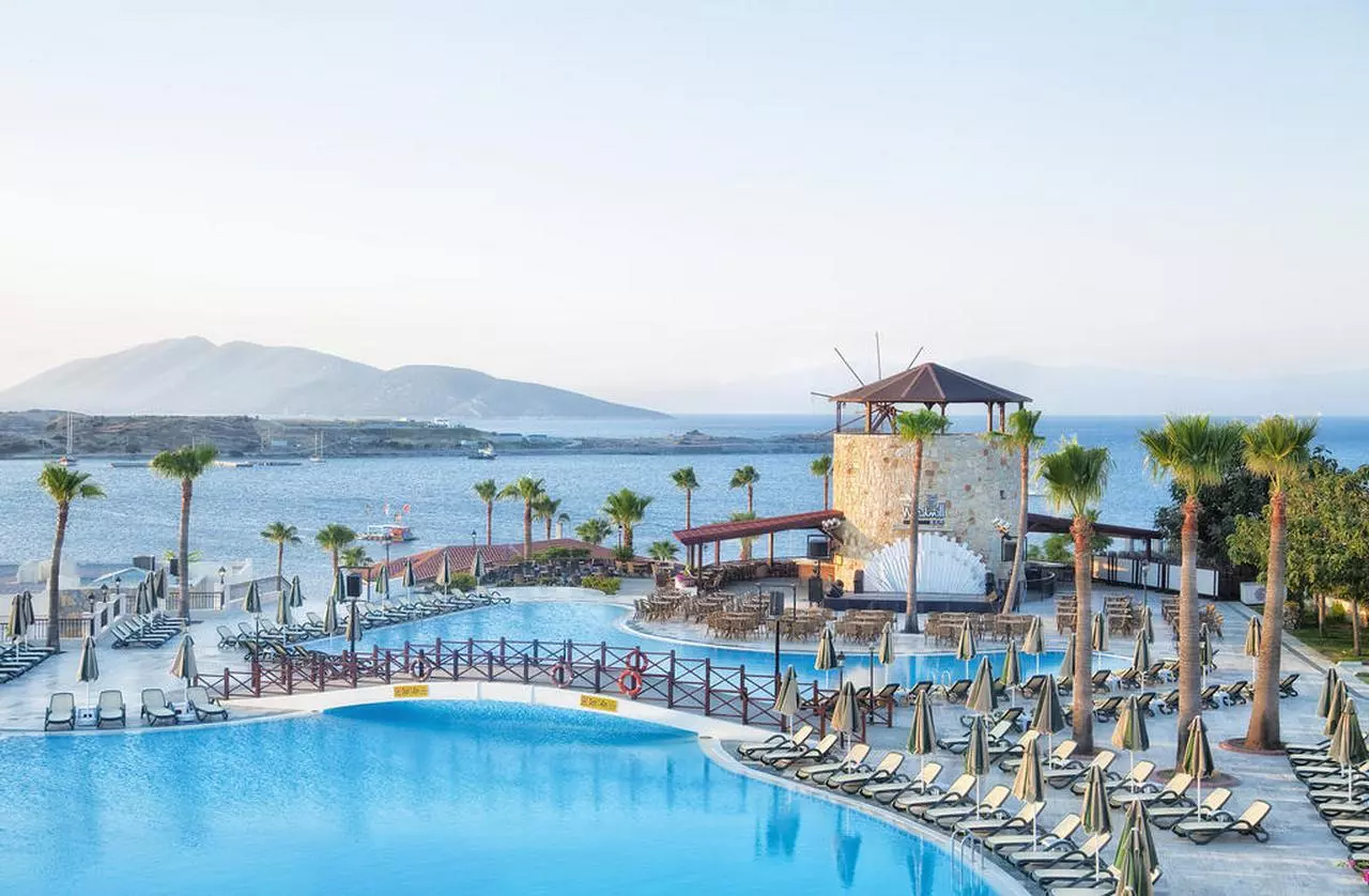 wowbodrum_shabaviz (33).jpg